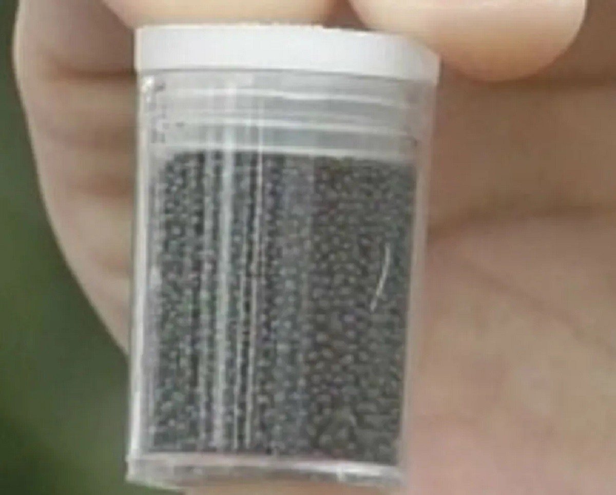 Polícia analisa celular de mãe que envenenou filha de 3 anos com chumbinho no interior de SP