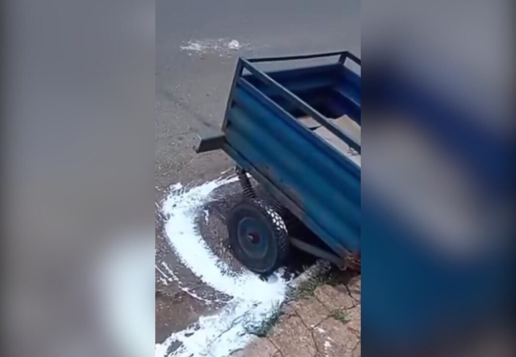 Carretinha interrompe pintura de meio-fio em cidade do TO, e internautas se divertem com a situação; VÍDEO