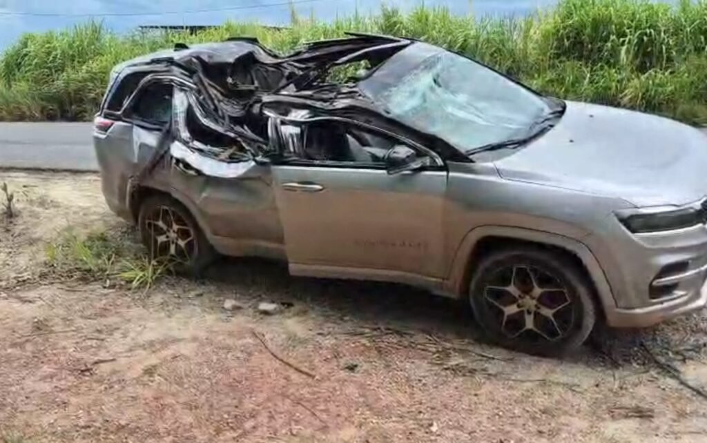 Criança de 1 ano morre após eucalipto cair sobre carro na MG‑444, em Capetinga, MG