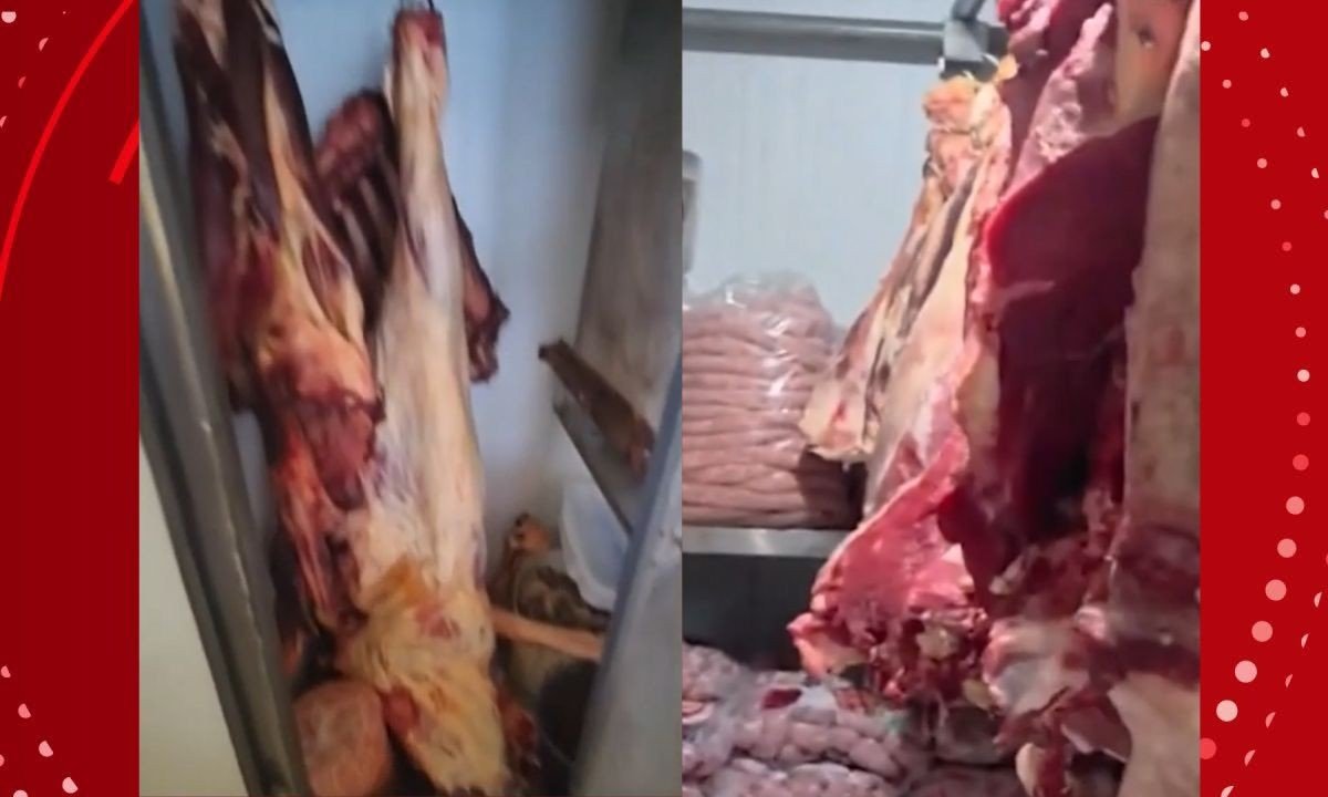 Seis pessoas são presas suspeitas de integrar esquema de furto de gado e abate clandestino na Bahia